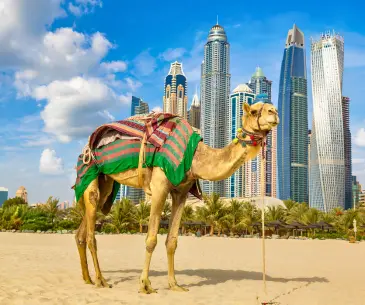 Dubai Delights: A Family Adventure Awaits!